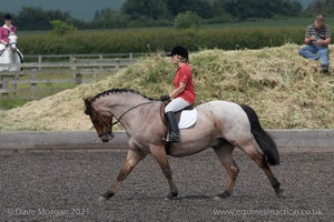 ISIS Dressage Challenge 2008